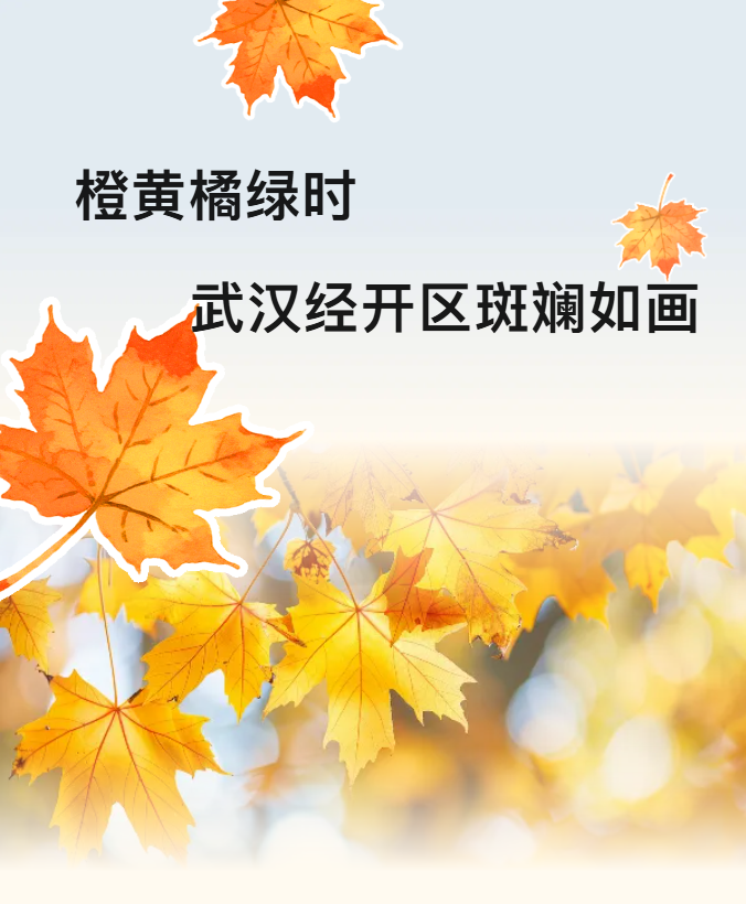 ScreenShot_2025-12-03_085521_931.png