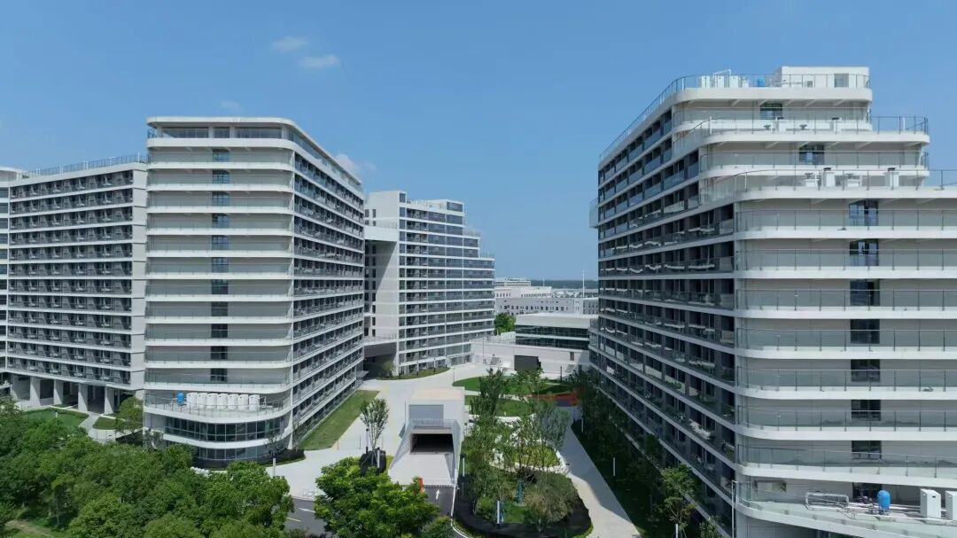 微信图片_2026-02-12_145959_828.jpg