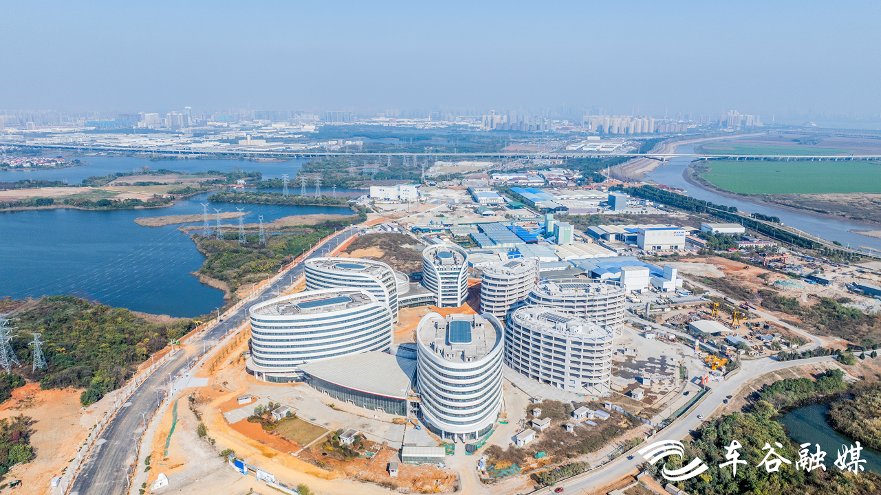 微信图片_2025-12-08_170417_676.png