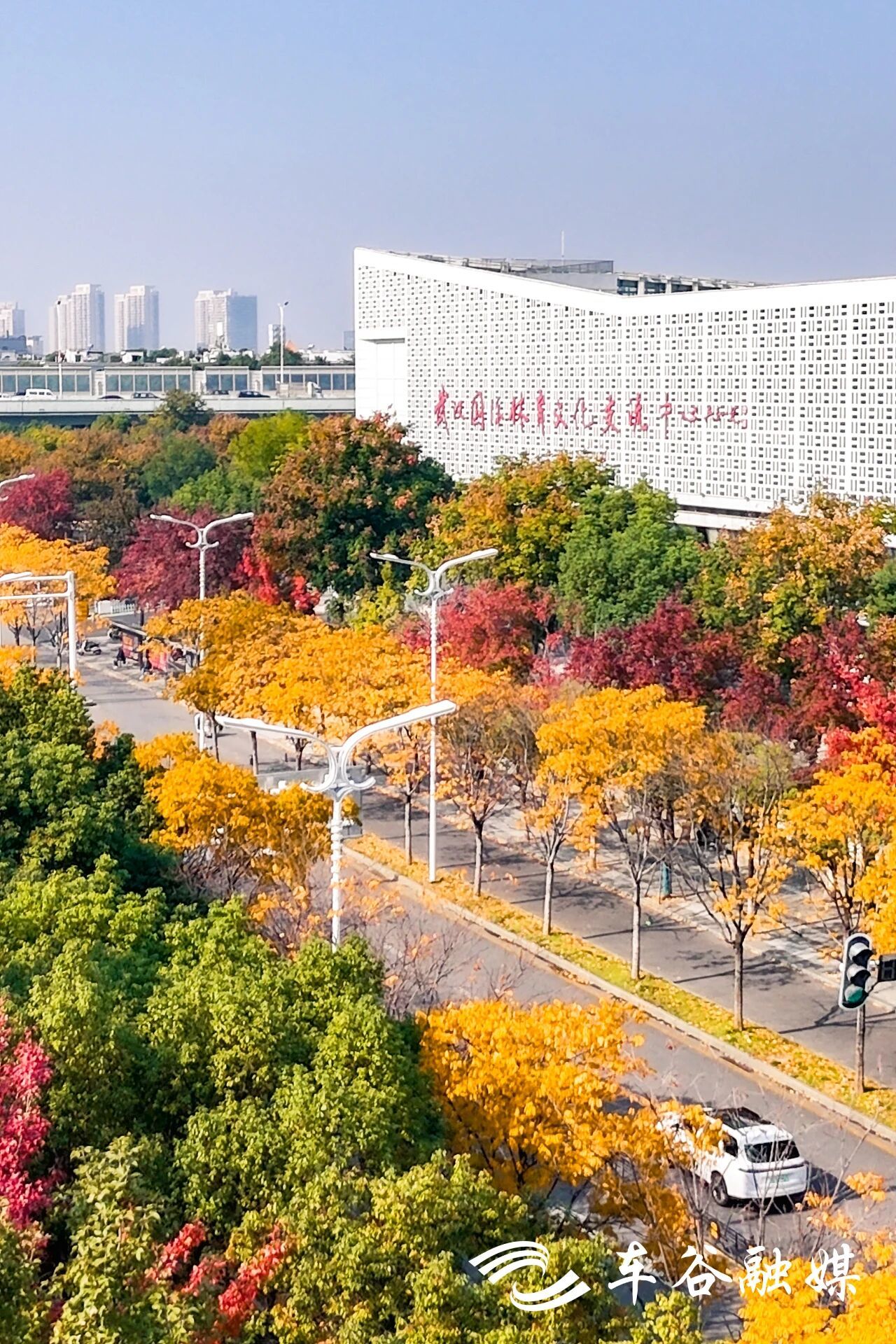 微信图片_2025-12-03_100803_695.jpg